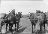Big Teams - Harness Methods
