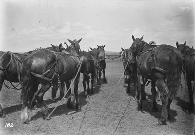 Big Teams - Harness Methods