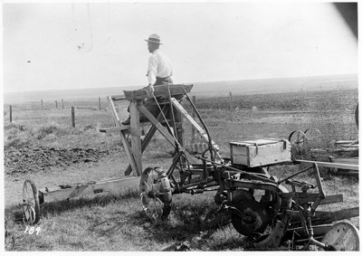 Twelve Horse Plow Hitch
