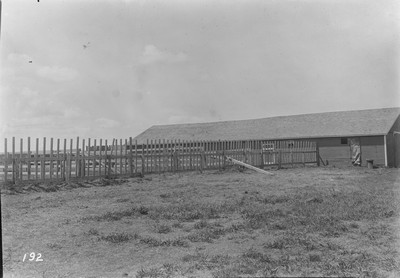 Feed Racks