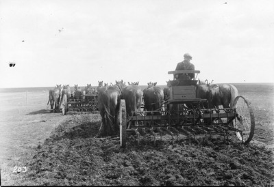 Big Teams - Duckfoot Cultivator