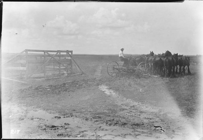 Field Feed Rack