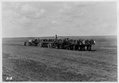 Big Teams - Duckfoot Cultivator