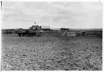 Field Feed Rack