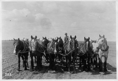 Big Teams - Duckfoot Cultivator