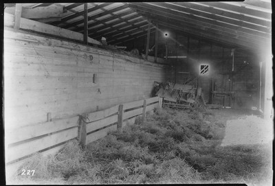 Big Teams - Barn