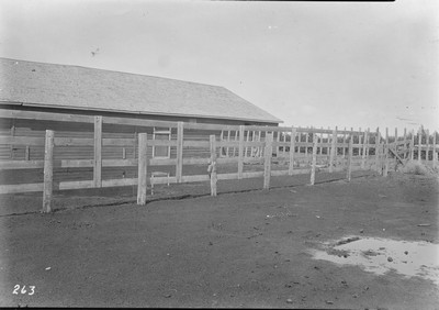 Fence
