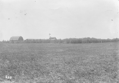 Shelterbelts