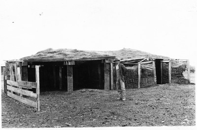 Homemade Sheep Shed
