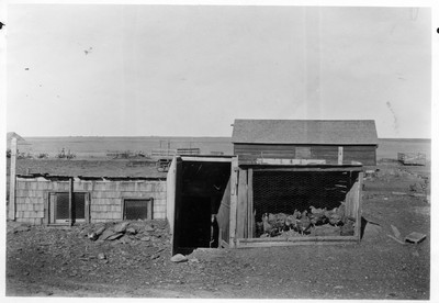 Chicken House