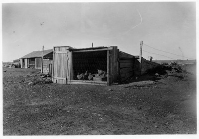 Chicken House