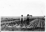 B.F. Winkler & Son