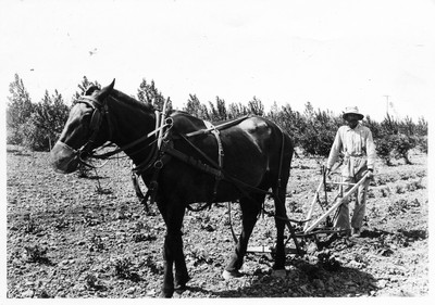 Cultivating