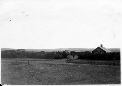 Buildings and Shelterbelt