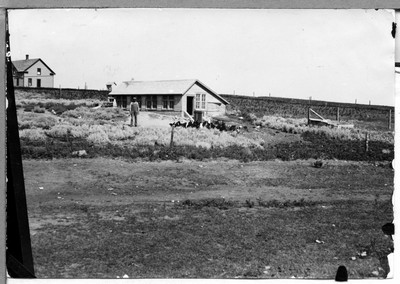 Chicken House