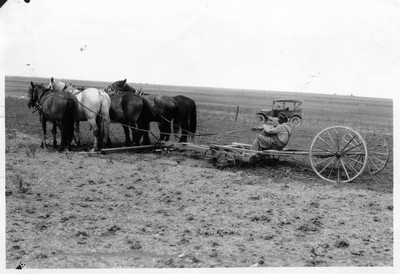 Spring Tooth Harrow