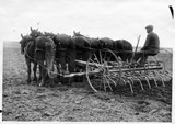 Duckfoot Weeder
