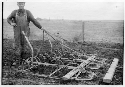 Spring Tooth Harrow
