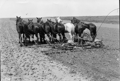 Harrows