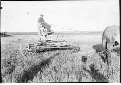 Duckfoot - Cultivating Stubble