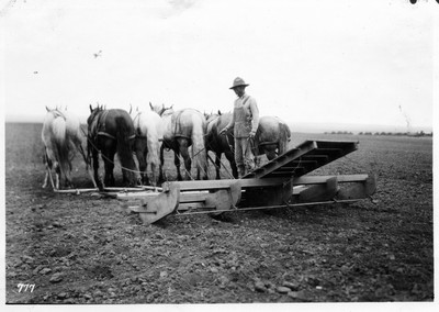 Double Rod Weeder