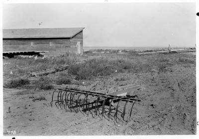 Spring Tooth Weeder