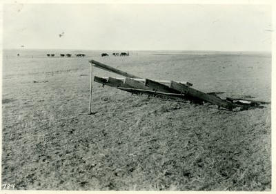 Double Rod Weeder
