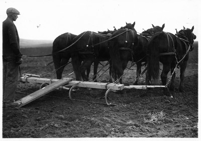 Gooseneck Blade Weeder