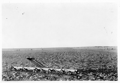 Gooseneck Weeder