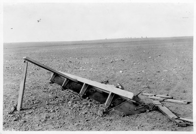 Rod Weeder