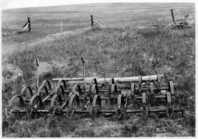 Spring Tooth Harrow