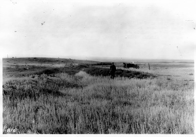 Irrigation Ditch