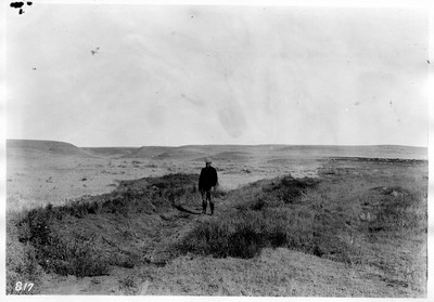 Irrigation Ditch