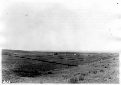Irrigation Dikes
