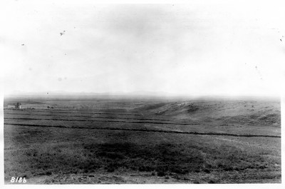 Irrigation Dikes