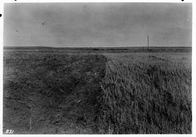 Dry Land Irrigation