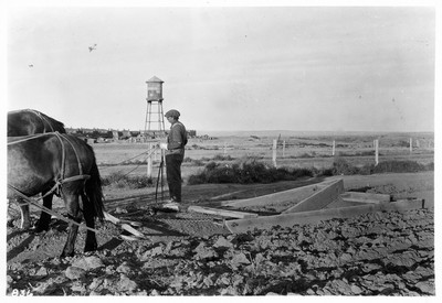 Irrigation Diker