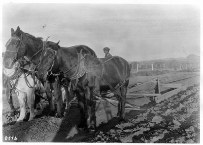 Irrigation Diker