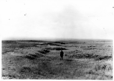 Diversion Dam