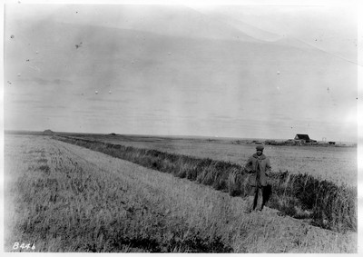 Dry Land Irrigation