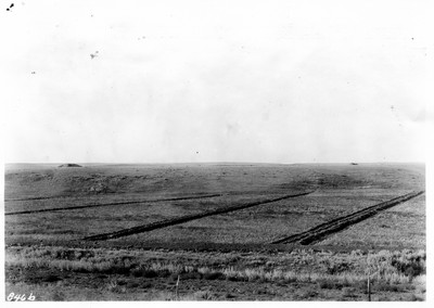 Irrigation Dikes