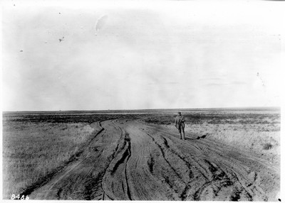 Irrigation Dikes
