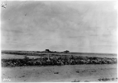 Irrigation Dikes