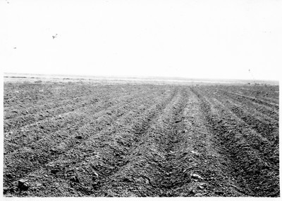 Soil Furrows