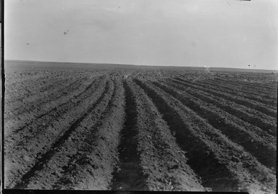 Soil Furrows