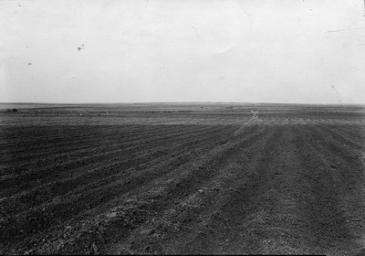 Soil Furrows
