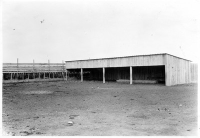 Feed Lot Arrangement