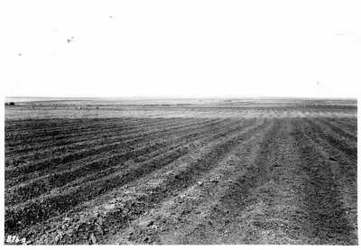 Soil Blowing