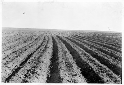 Soil Blowing