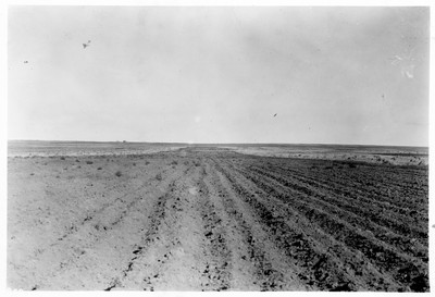 Strip Farming